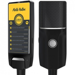 Dhs1v1 dokunmatik ekranli wifi destekli çift mikrofonlu akilli mikrofon (ercan dan alin]