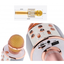 Mikrofon karaoke bluetooth dahili hoparlör ws-858