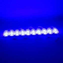Powermaster 12 Volt 0.6 Watt Mavi 2835 65 X 25 Mm IP65 120 Lümen 160 Derece Modül Led