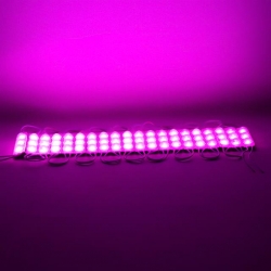 Powermaster 12 Volt 1.5 Watt Pembe Yanıp Sönen Parlak Tek Renk 2835 69 X 16 Mm IP65 160 - 180 Lümen 160 Derece Modül Led