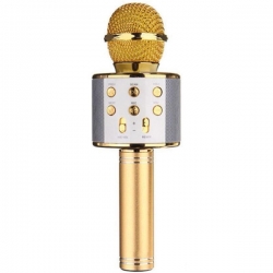 Powermaster pm-17185 bluetooth-sd-aux-fm kablosuz karaoke mikrofon