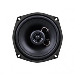Westsound TH-06-CXT TS-5250 5'' 13 CM Çıplak Hoparlör