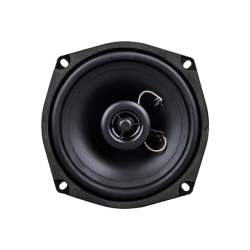 Westsound TH-06-CXT TS-5250 5' 13 CM Çıplak Hoparlör